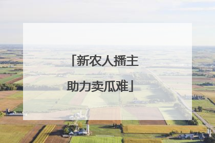 新农人播主 助力卖瓜难