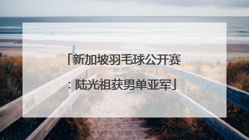 新加坡羽毛球公开赛：陆光祖获男单亚军