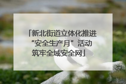 新北街道立体化推进“安全生产月”活动 筑牢全域安全网
