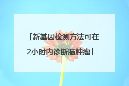 新基因检测方法可在2小时内诊断脑肿瘤