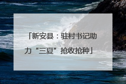 新安县：驻村书记助力“三夏”抢收抢种