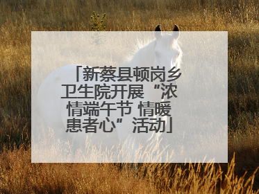 新蔡县顿岗乡卫生院开展“浓情端午节 情暖患者心”活动