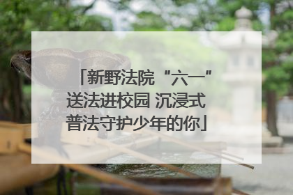 新野法院“六一”送法进校园 沉浸式普法守护少年的你