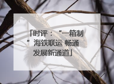 时评：“一箱制”海铁联运 畅通发展新通道
