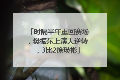 时隔半年重回赛场，樊振东上演大逆转，3比2徐瑛彬