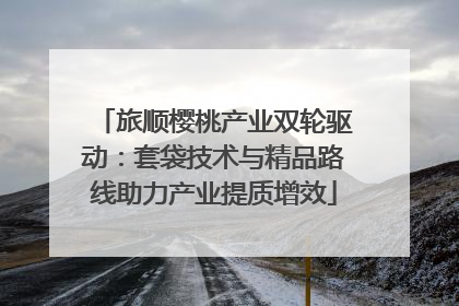 旅顺樱桃产业双轮驱动：套袋技术与精品路线助力产业提质增效