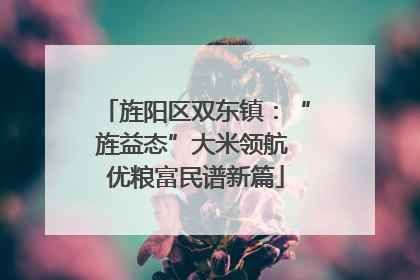 旌阳区双东镇：“旌益态”大米领航 优粮富民谱新篇
