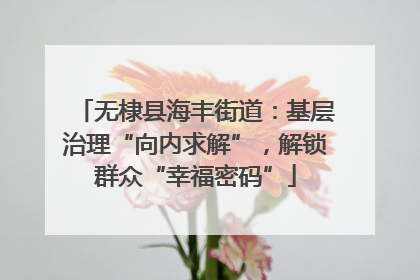 无棣县海丰街道：基层治理“向内求解”，解锁群众“幸福密码”