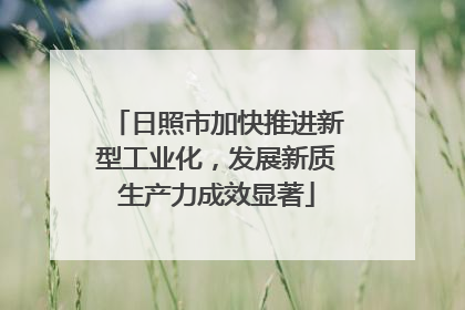 日照市加快推进新型工业化，发展新质生产力成效显著