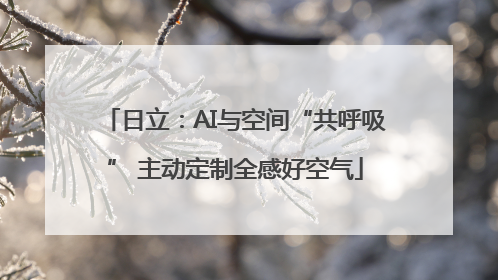 日立：AI与空间“共呼吸” 主动定制全感好空气