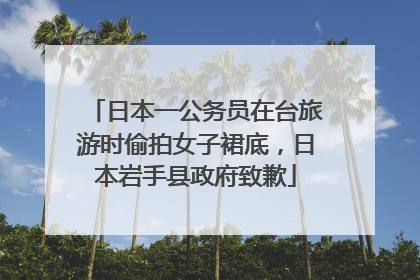 日本一公务员在台旅游时偷拍女子裙底，日本岩手县政府致歉