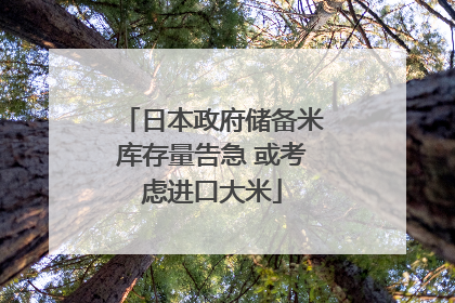 日本政府储备米库存量告急 或考虑进口大米