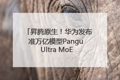 昇腾原生！华为发布准万亿模型Pangu Ultra MoE模型架构和训练细节