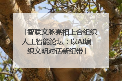 智联文脉亮相上合组织人工智能论坛：以AI编织文明对话新纽带