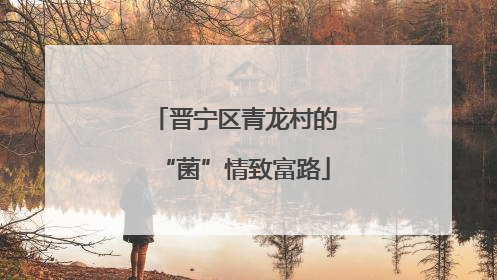 晋宁区青龙村的“菌”情致富路