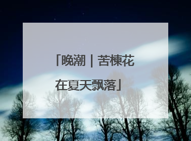 晚潮｜苦楝花在夏天飘落
