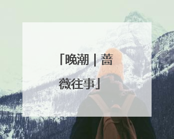 晚潮｜蔷薇往事