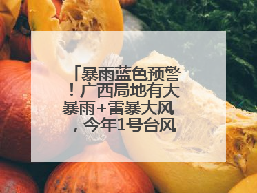 暴雨蓝色预警！广西局地有大暴雨+雷暴大风，今年1号台风最新消息……