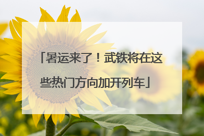 暑运来了！武铁将在这些热门方向加开列车