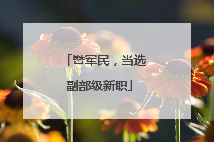 暨军民，当选副部级新职