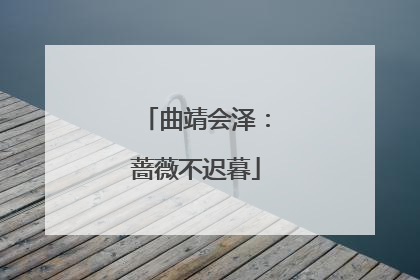 曲靖会泽：蔷薇不迟暮