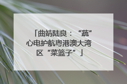 曲靖陆良：“蔬”心电护航粤港澳大湾区“菜篮子”