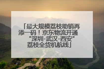 最大规模荔枝助销再添一码！京东物流开通“深圳-武汉-西安” 荔枝全货机航线