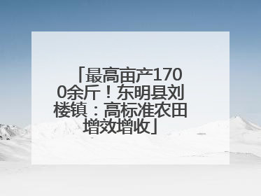 最高亩产1700余斤！东明县刘楼镇：高标准农田增效增收