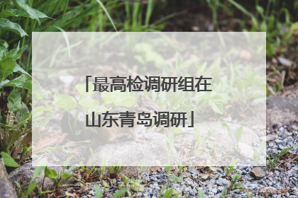 最高检调研组在山东青岛调研