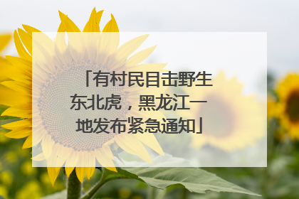 有村民目击野生东北虎，黑龙江一地发布紧急通知