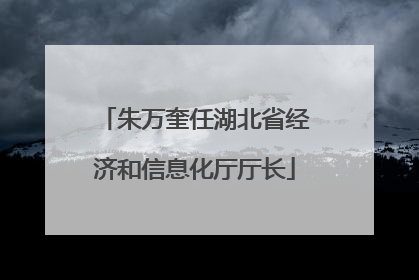朱万奎任湖北省经济和信息化厅厅长