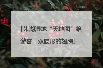 朱湖湿地“天地图”给游客一双隐形的翅膀