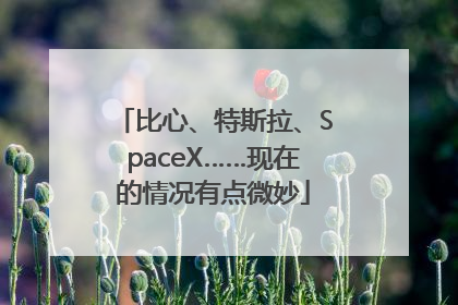 比心、特斯拉、SpaceX……现在的情况有点微妙