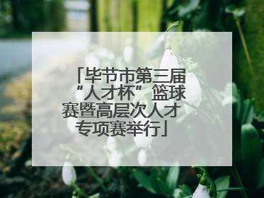 毕节市第三届“人才杯”篮球赛暨高层次人才专项赛举行