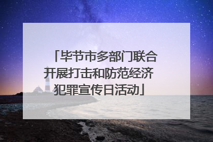 毕节市多部门联合开展打击和防范经济犯罪宣传日活动