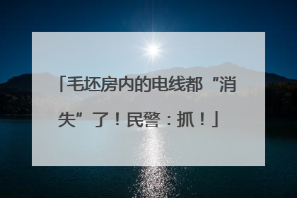 毛坯房内的电线都“消失”了！民警：抓！