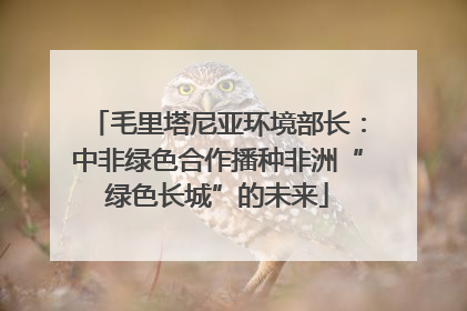 毛里塔尼亚环境部长：中非绿色合作播种非洲“绿色长城”的未来