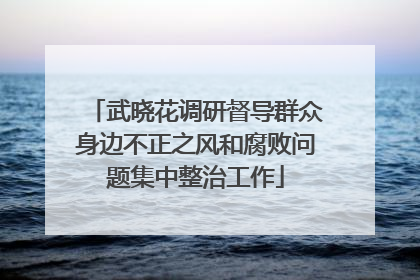 武晓花调研督导群众身边不正之风和腐败问题集中整治工作