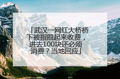 武汉一网红大桥桥下被指圈起来收费，进去100块还必须消费？当地回应