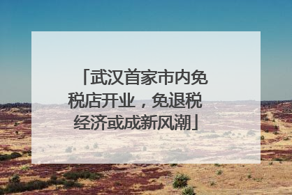 武汉首家市内免税店开业，免退税经济或成新风潮