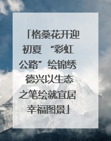 格桑花开迎初夏 “彩虹公路”绘锦绣 德兴以生态之笔绘就宜居幸福图景