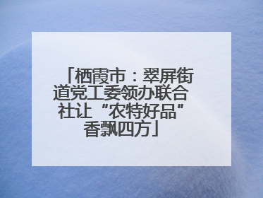 栖霞市：翠屏街道党工委领办联合社让“农特好品”香飘四方