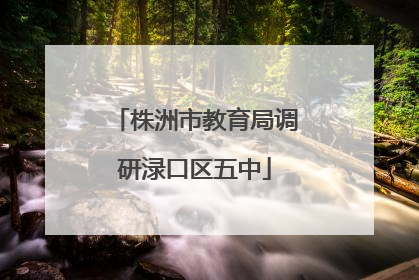 株洲市教育局调研渌口区五中