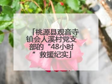 桃源县观音寺镇会人溪村党支部的“48小时”救援纪实