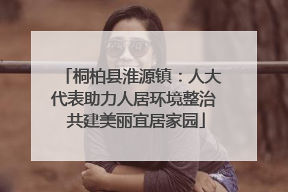 桐柏县淮源镇：人大代表助力人居环境整治 共建美丽宜居家园