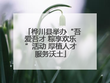 桦川县举办“吾爱吾才 粽享欢乐”活动 厚植人才服务沃土