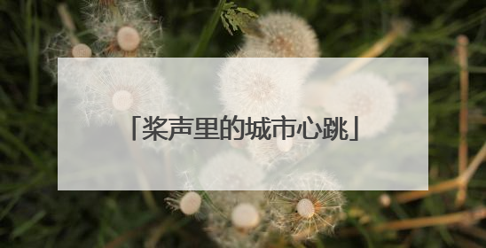 桨声里的城市心跳
