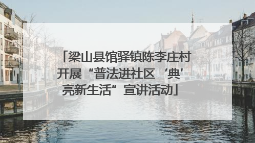 梁山县馆驿镇陈李庄村开展“普法进社区‘典’亮新生活”宣讲活动