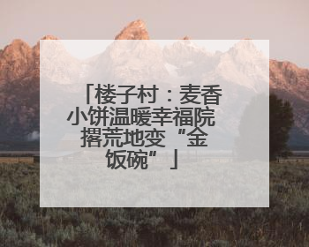 楼子村：麦香小饼温暖幸福院 撂荒地变“金饭碗”