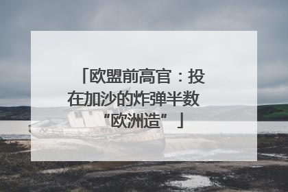 欧盟前高官：投在加沙的炸弹半数“欧洲造”
